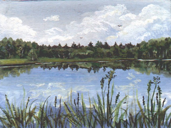 Берег озера